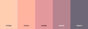 Paleta-Coolers