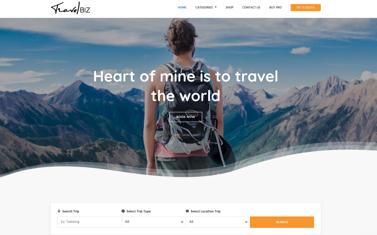 page d'accueil wordpress travelbiz
