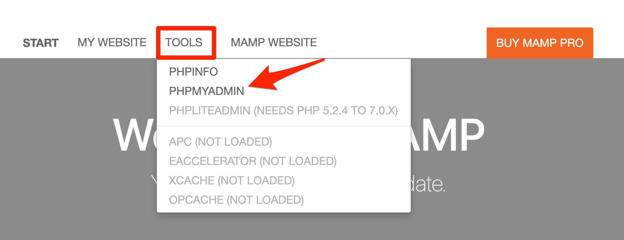 เข้าถึง phpMyAdmin จาก MAMP