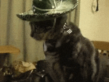 Wireframe: cosa sono?