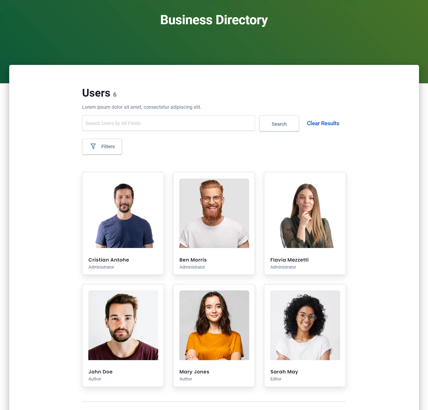 Pagina de director de afaceri WordPress