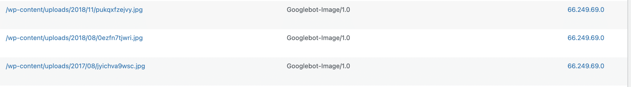 Bot örneklerini görüntüleyen Yeniden Yönlendirme eklentisi ile listelenen WordPress 404 hataları.