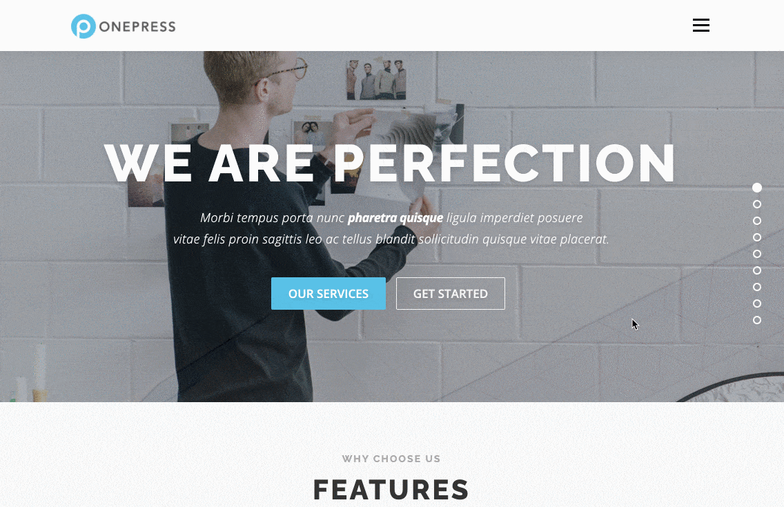 OnePress teması OnePress demo önizlemesi.