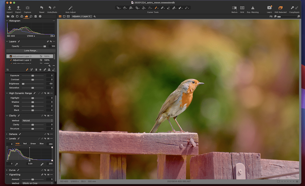 CaptureOneワークスペース。