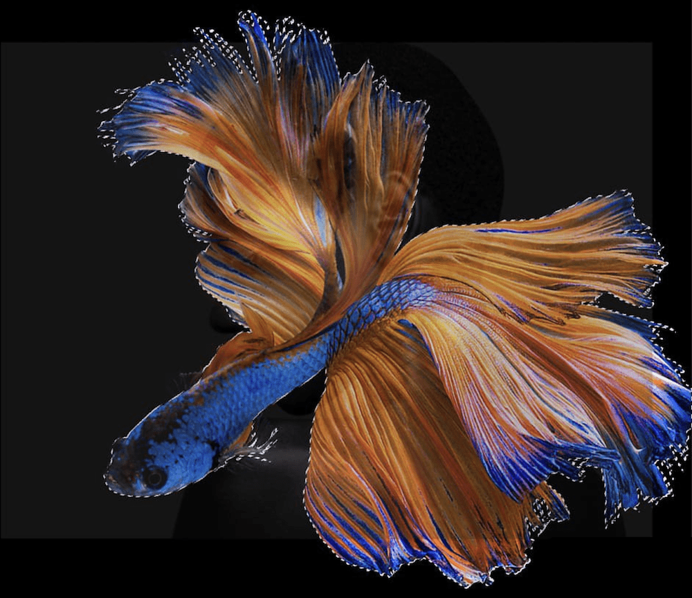 AdobePhotoshopのWebサイト。