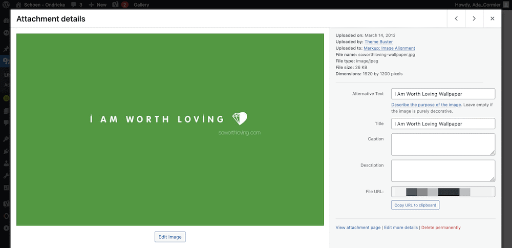 WordPress 媒体库。