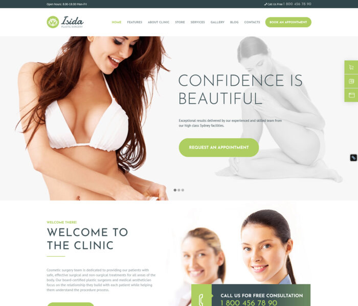 isida plastic surgery wordpress theme