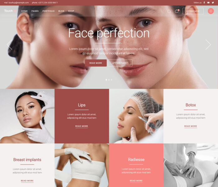 touchup plastic surgery theme