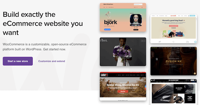 Das WooCommerce eCommerce WordPress-Plugin