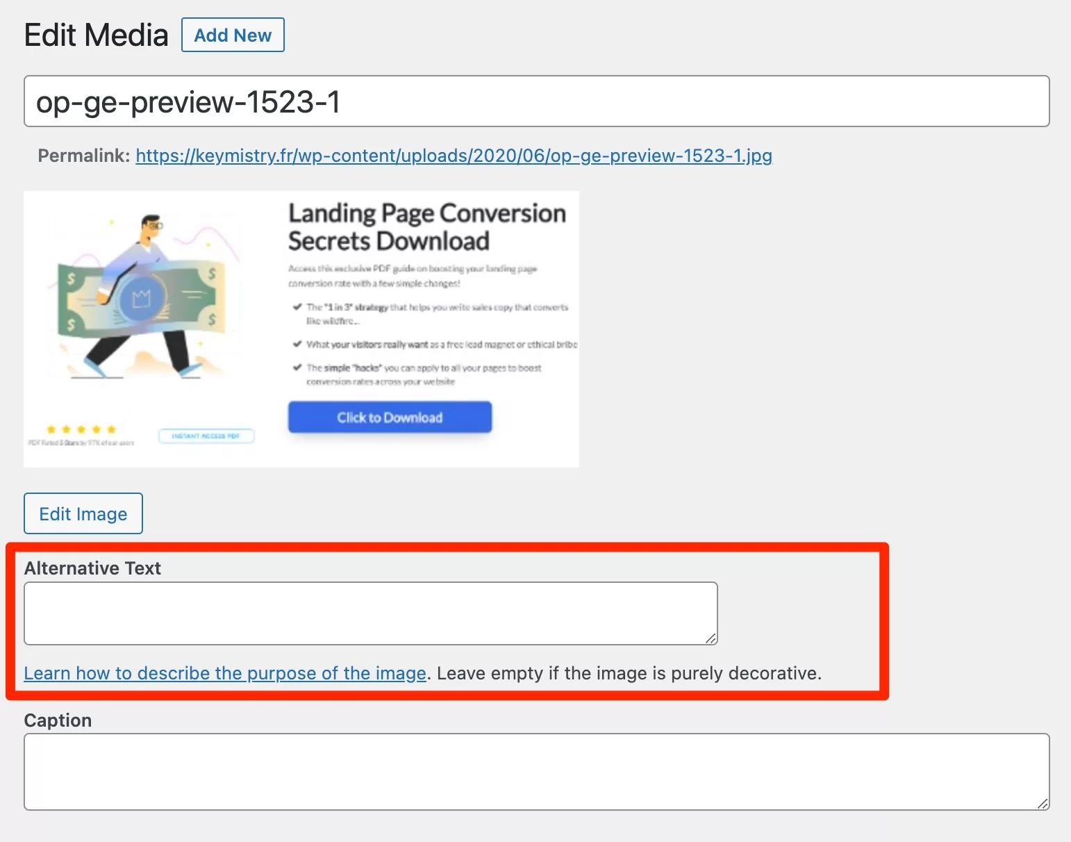 SEOKEY には、WordPress がデフォルトで提供するものに加えて、別のテキスト エディターがあります。