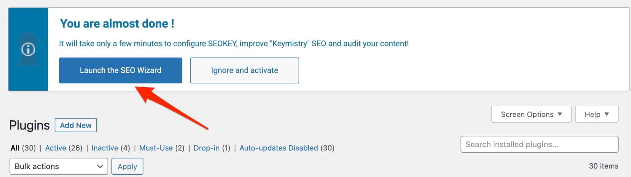 SEOKEY には、セットアップに役立つ構成ウィザードがあります。