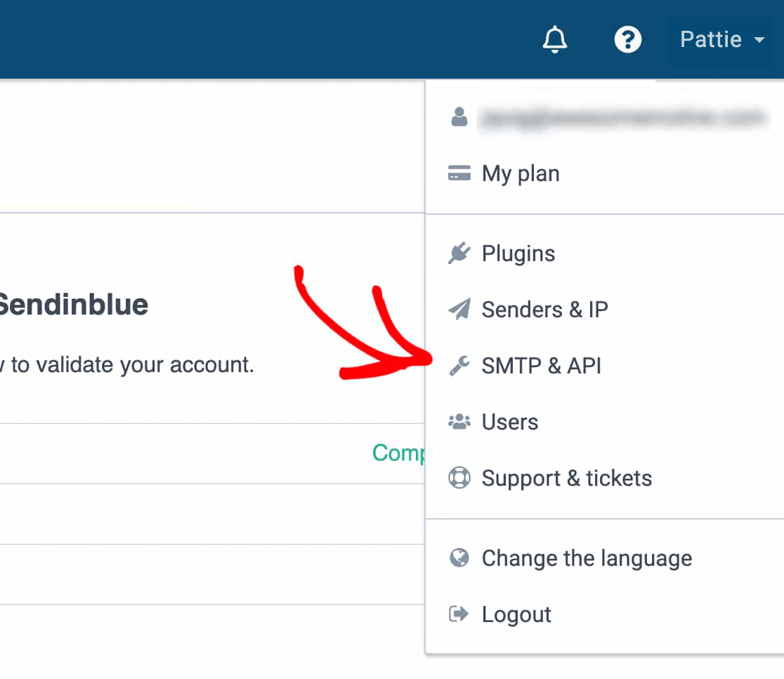 API page in Sendinblue