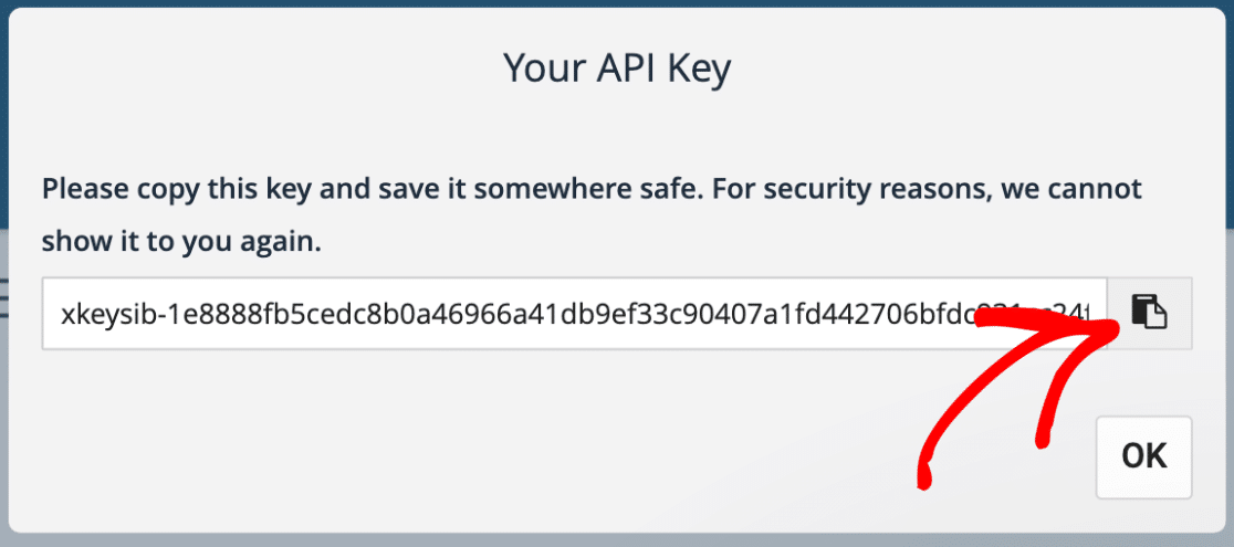 Copy API key
