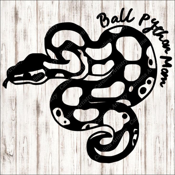 Python Disegna Svg
