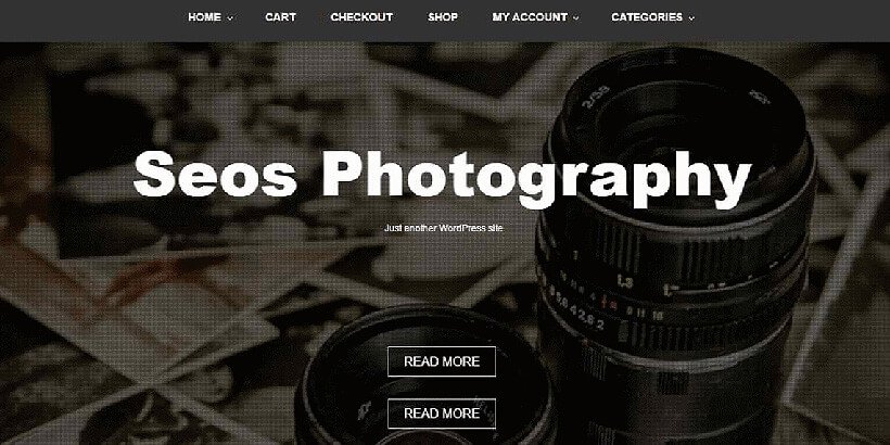 WordPress-Themen für SEOs kostenlose Fotografie