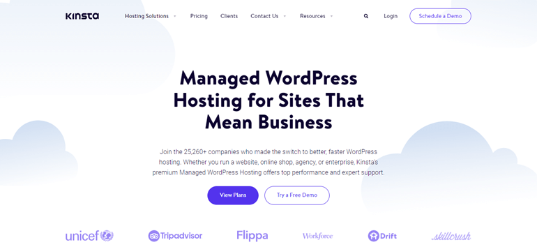 استضافة Kinsta WordPress