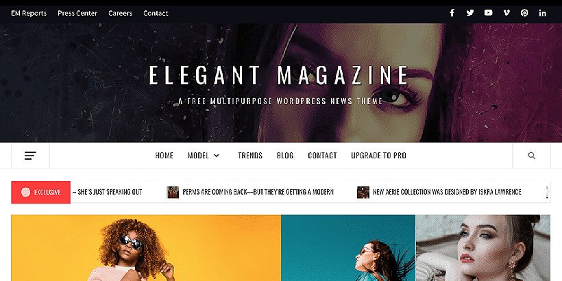 teme elegante pentru reviste wordpress gratuite