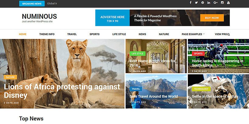 Numious teme gratuite pentru reviste wordpress
