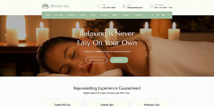 ธีม wordpress ที่เข้ากันได้ของ Blossomspa ฟรี Gutenberg