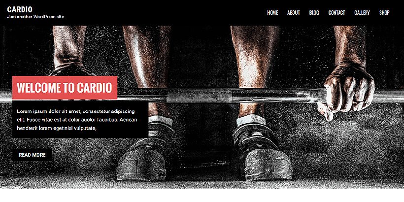Cardio-freie Fitness-WordPress-Themen