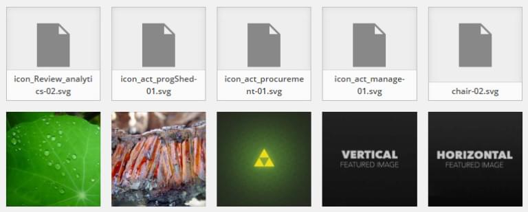 Mengapa Svg Tidak Muncul Di WordPress?