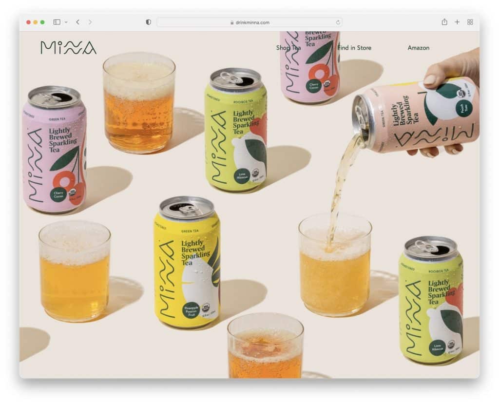 mina başlangıç web sitesi