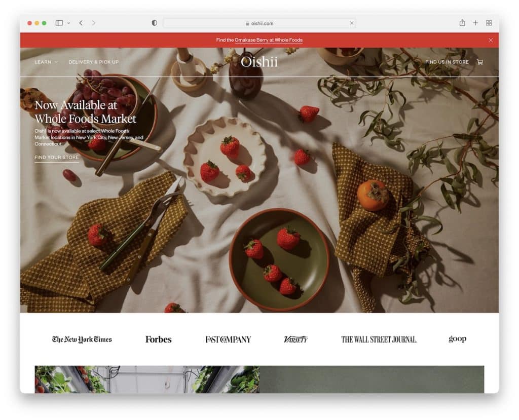 oishii basit web sitesi örneği