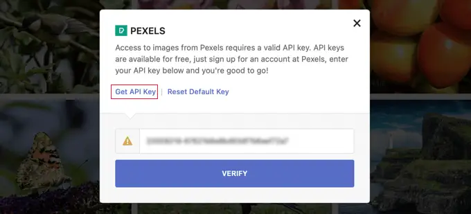 Untuk Menemukan Gambar di Pexels Menggunakan Gambar Instan, Anda Membutuhkan Kunci API