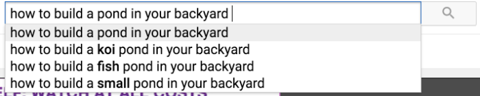 Ein Screenshot der YouTube-Suchmaschine mit der Eingabe „wie man einen Teich in seinem Garten baut“.