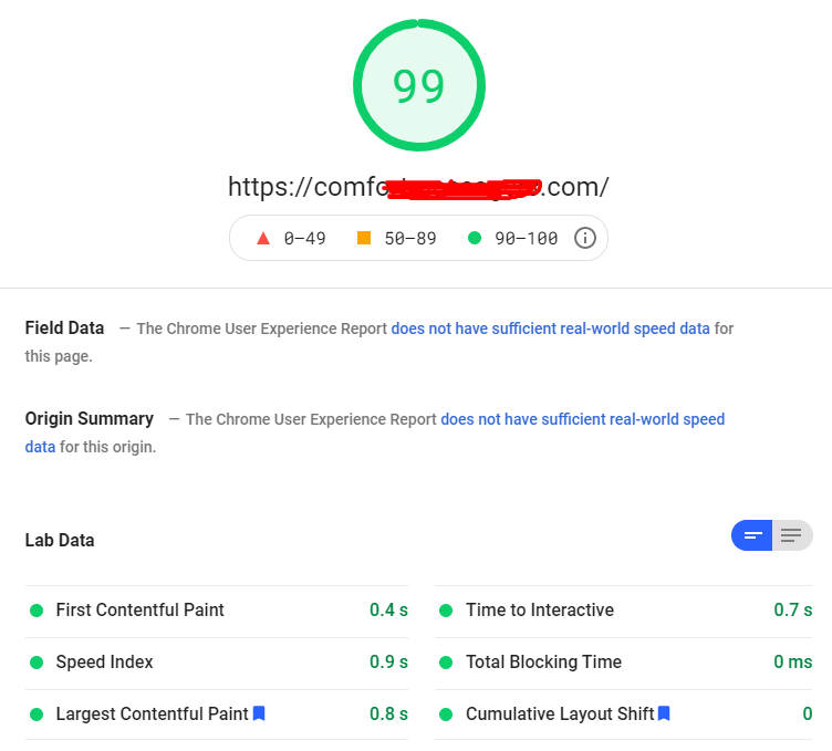 WP Rocket Review (2022): ตัวเร่งความเร็วสำหรับไซต์ WordPress ของคุณ! 2 page speed on google insights