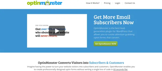 Optin Monster 2013