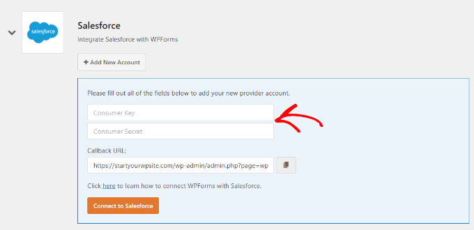 إضافة مفتاح المستهلك وسر المستهلك في إعدادات WPForms Paste the consumer key and secret