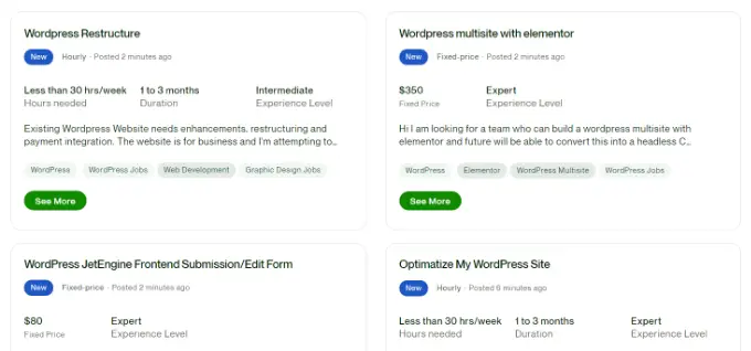 Przykład pracy nadrzędnej Upwork job example