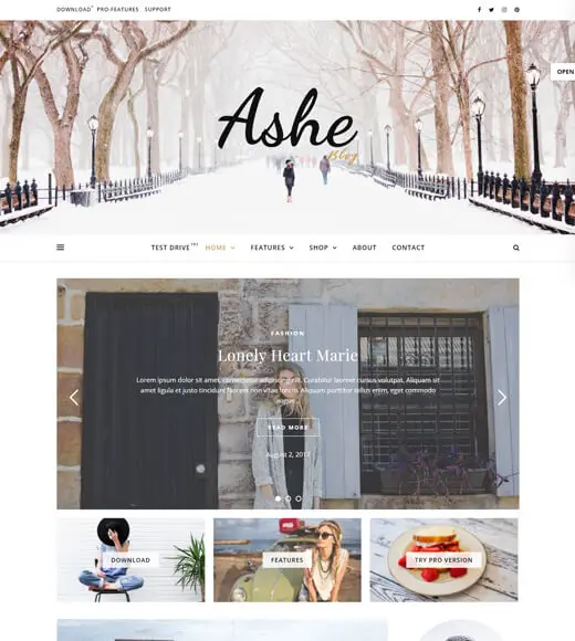 Ashe 最佳免费 WordPress 多用途主题