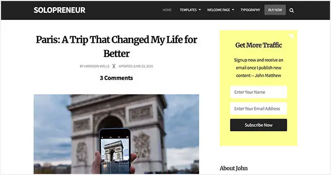 Solopreneur Solopreneur
