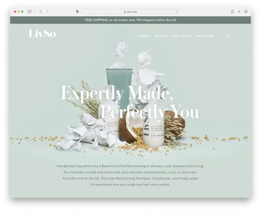 situs web bisnis kecil livso