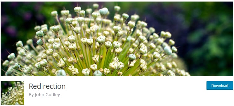 WordPress 404 Page: A Ultimate Guide For Beginners 1