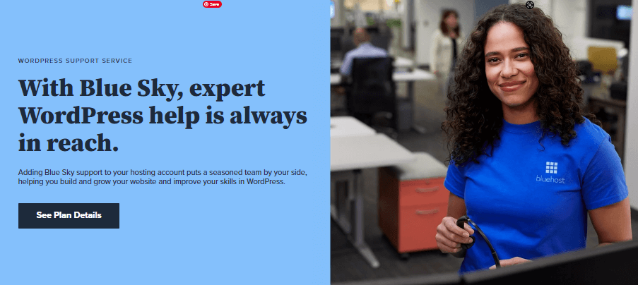 Live WordPress Support