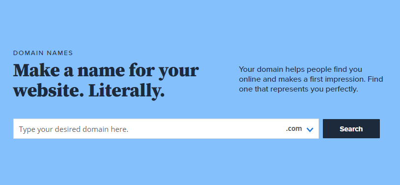 Domain name registration