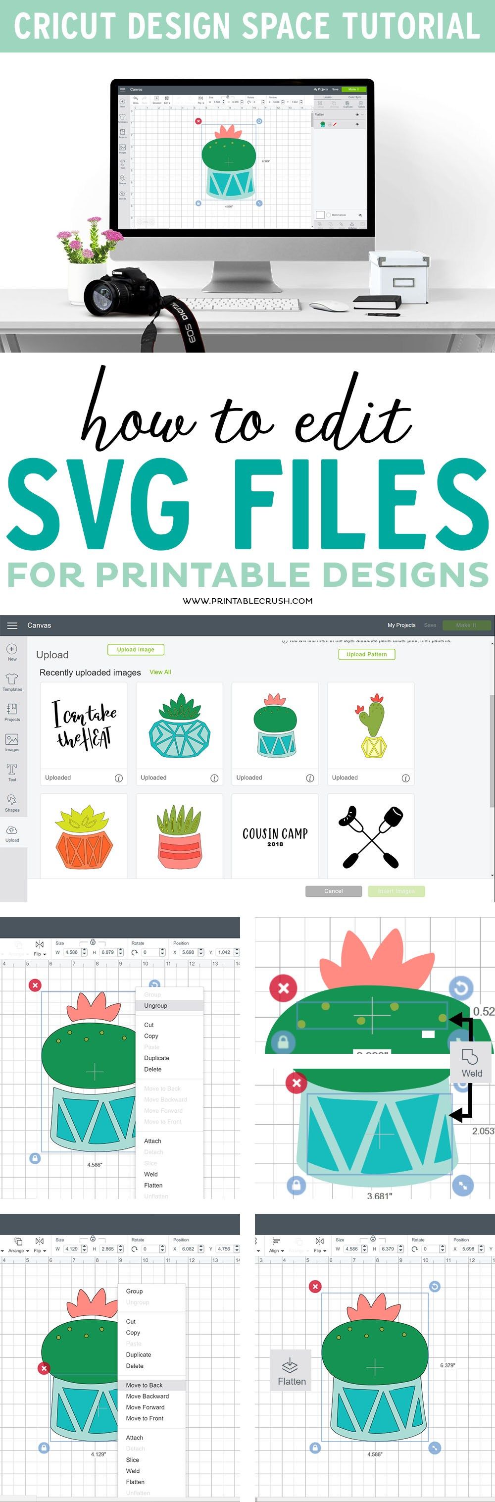 可以编辑 Svg 文件吗?