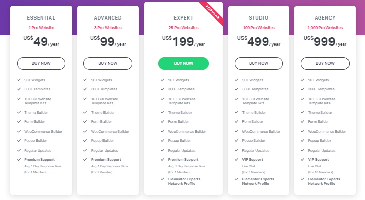 Brizy vs Elementor 2021: który jest najlepszy? 16 Elementor new price