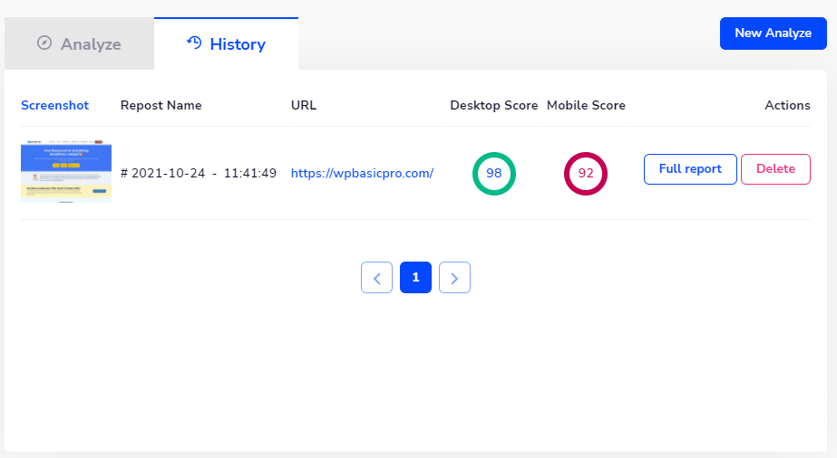Google page speed insight report