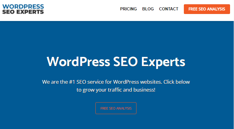WordPress SEO Experts