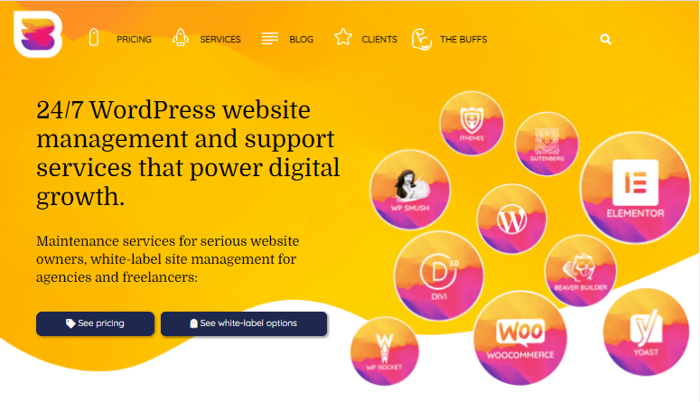 WP Buffs WordPress maintenance service