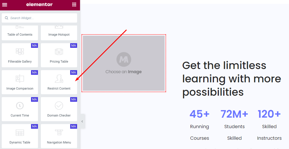 Master-addon-restrict-content