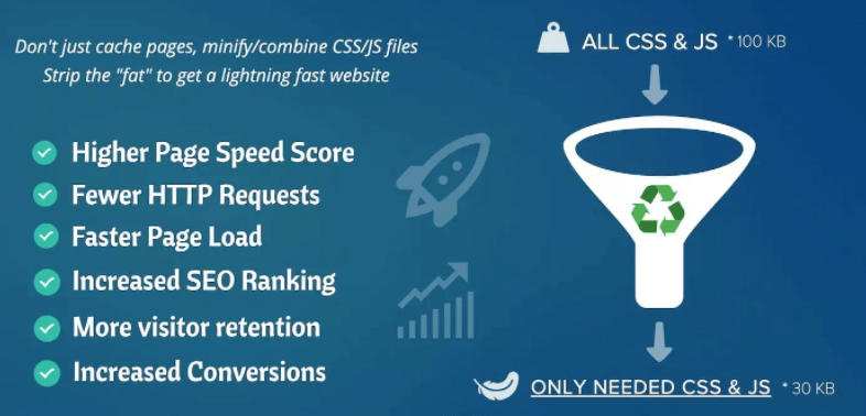asset cleanup WordPress plugin