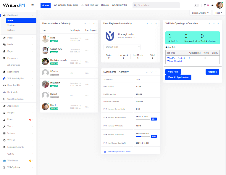 wordpress custom dashboard