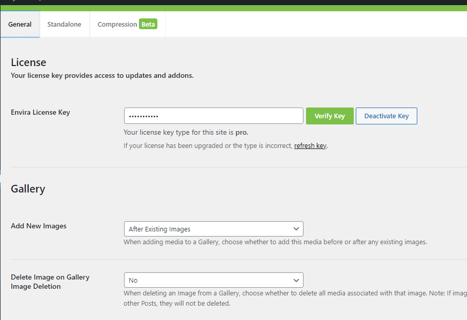 envira gallery settings tab