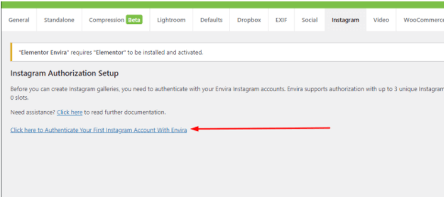 envira instagram addon
