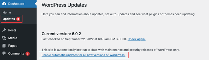 如何为主要版本启用 WordPress 自动更新? 2个 enable WordPress Automatic Updates